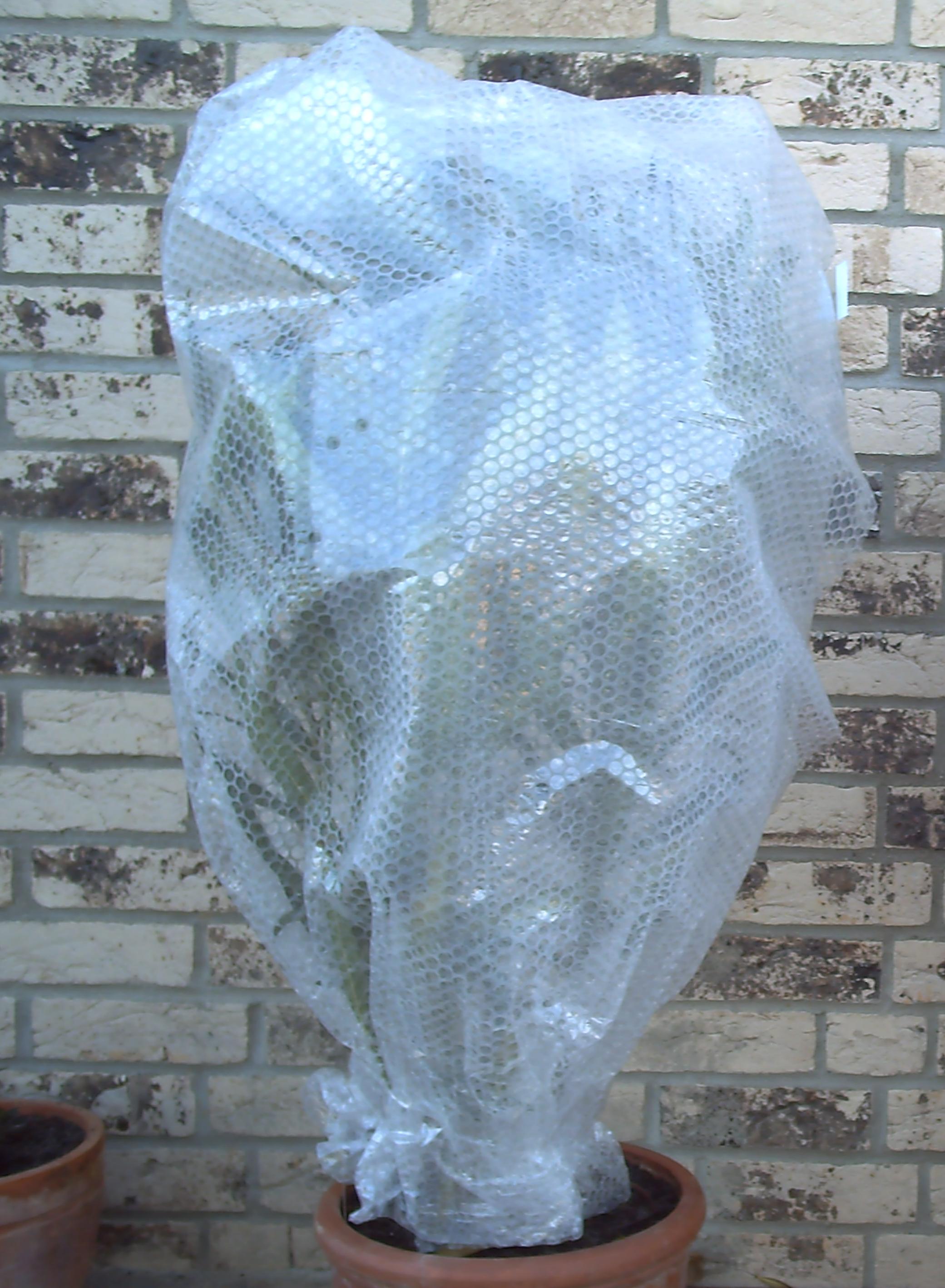 ISOLIERFOLIE 1,2m Br. (Meterware) Frostschutz Luftpolsterfolie für Kübelpflanzen