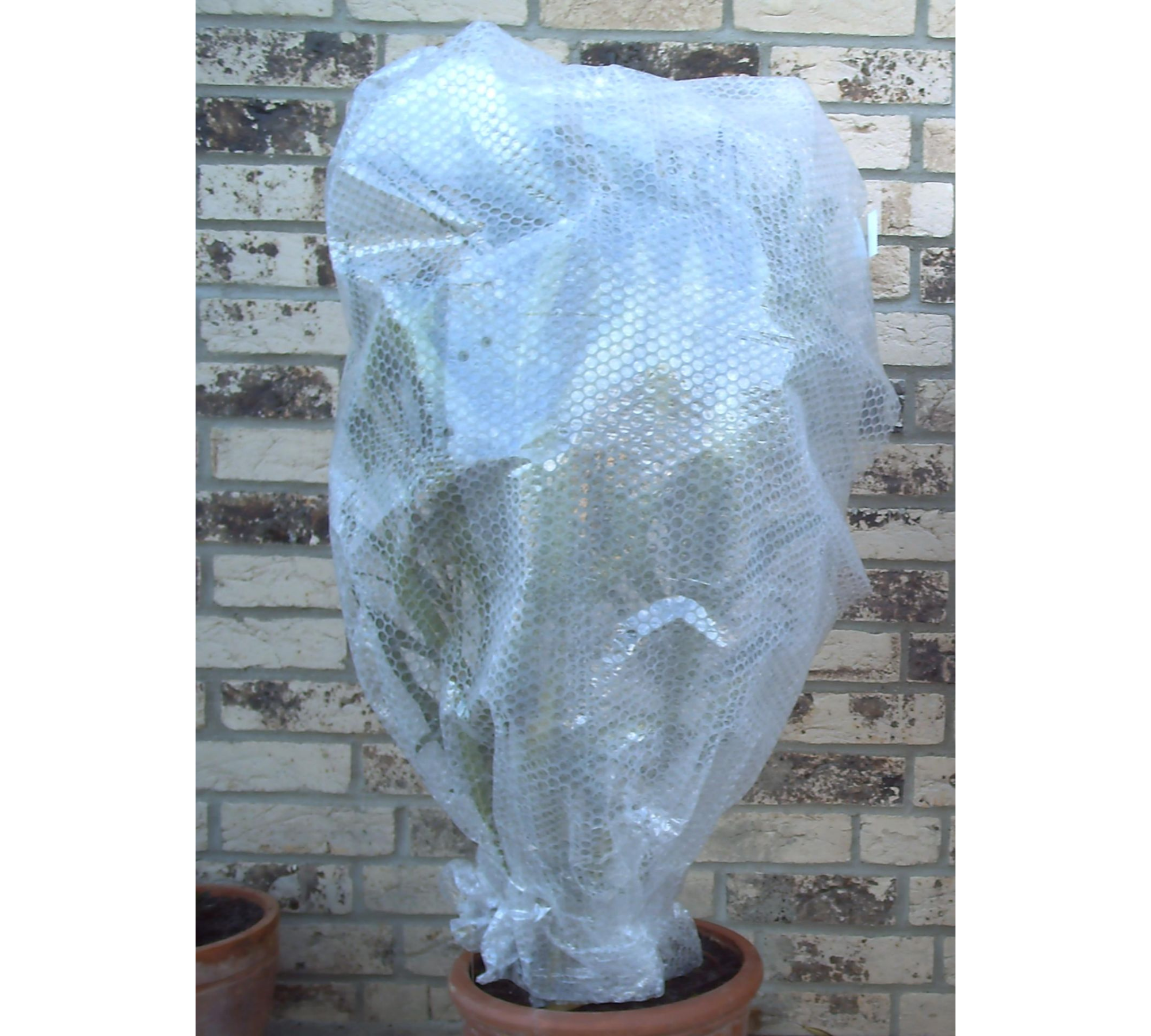 Thermo-Luftpolsterfolie – Alubeschichtet, 0,6 m x 6 m, Vielseitiger Pflanzenschutz