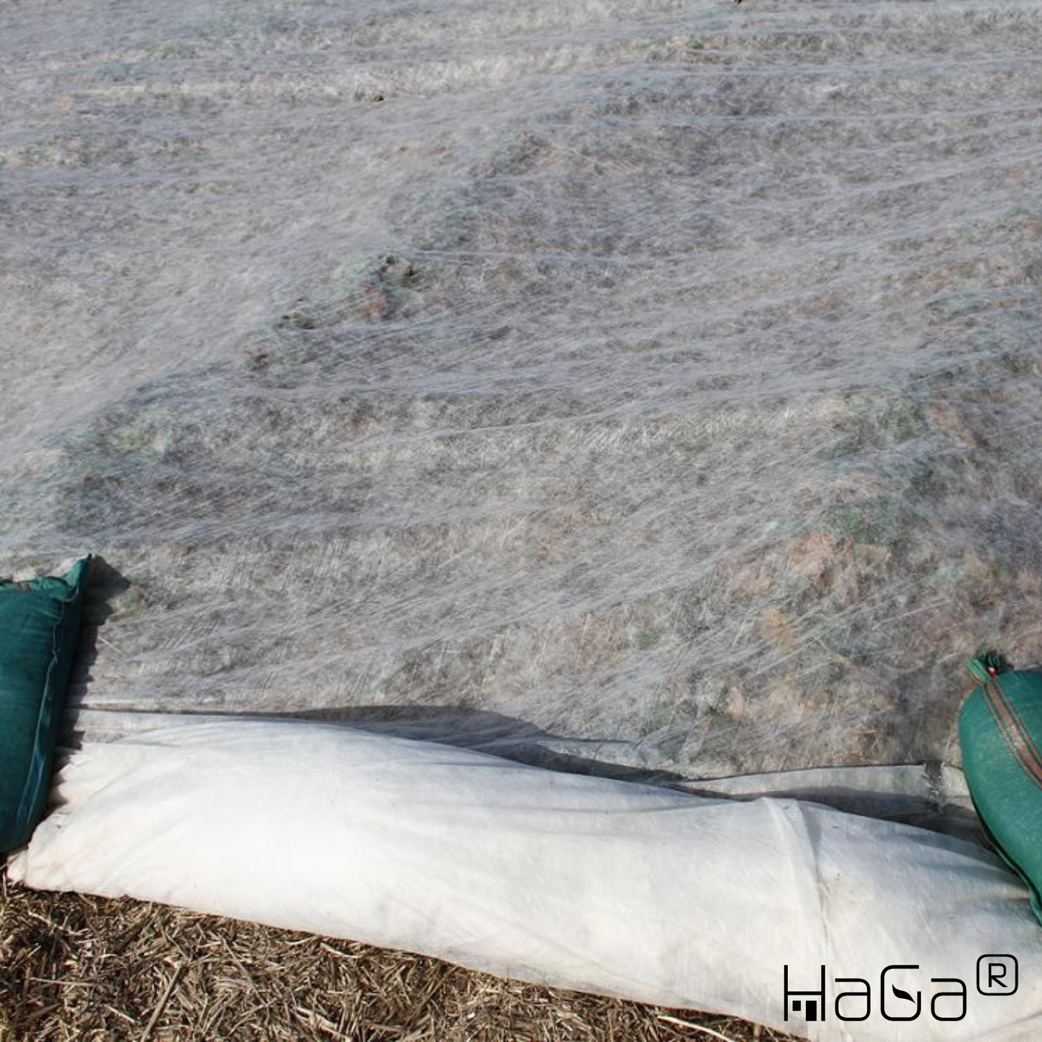 TISSU DE CROISSANCE 30g/m² en 3,2m Br. (marchandise au mètre) Tissu de récolte/précocité Protection contre le gel