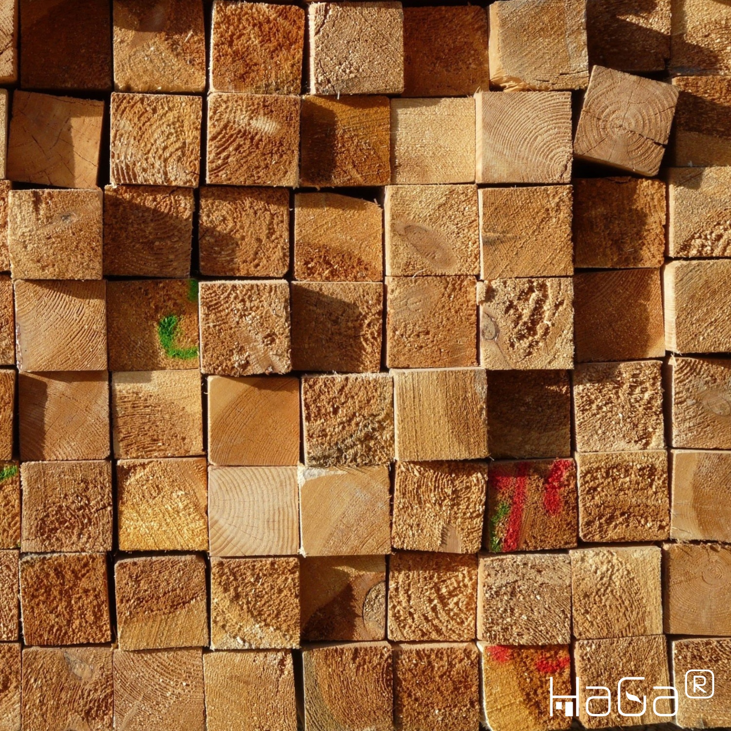 Robusti pali in legno da 1 m, 1,5 m e 1,8 m di altezza e 7 cm x 7 cm per applicazioni versatili
