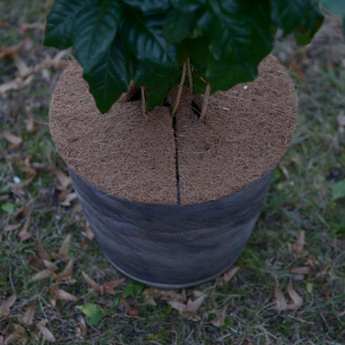 Kokosscheibe S Kübelabdeckung Winterschutz für Topfpflanzen Ø 25cm