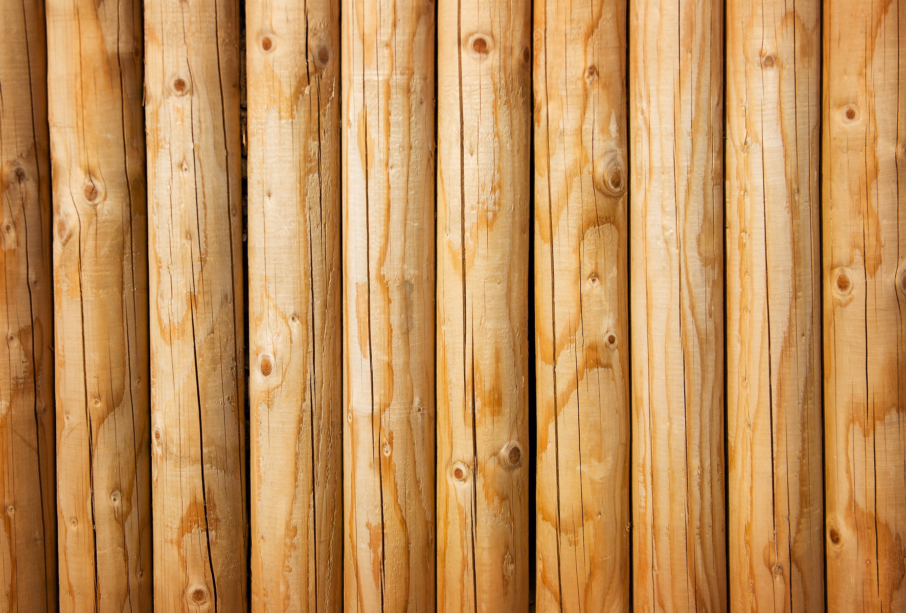1 pc. Palissade en bois 8cmØ x 75cm de hauteur Poteau en bois Poteau d'arbre Poteau de clôture