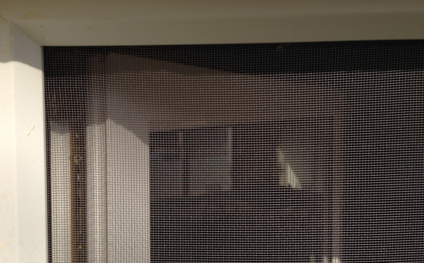 Zanzariera di 75 cm di larghezza, bianca, (articoli da giardino) zanzariera, zanzariera