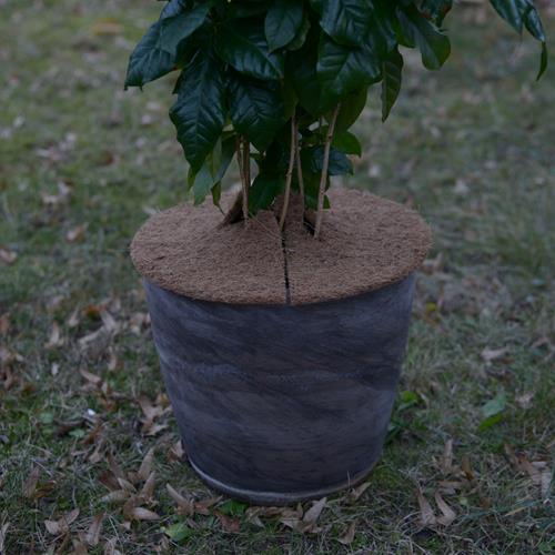 Rondelle de coco L protection hivernale pour plantes en pot Ø 45cm