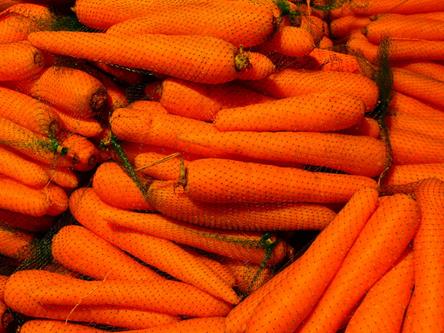 Obstnetz Gemüsenetz Aufbewahrungsnetz (Meterware) Masche 8mm orange