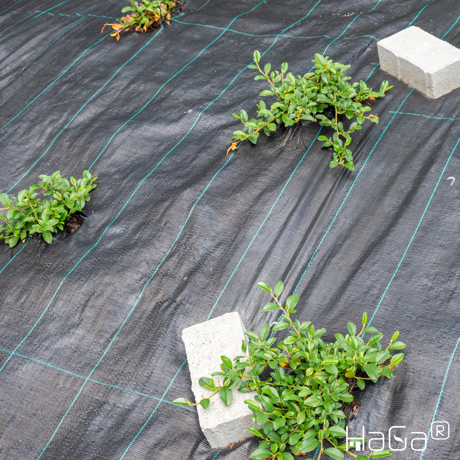 TISSU DE SOL 100g/m² 3,2m Br. (mètre) Tissu à bandelettes Bloqueur de mauvaises herbes