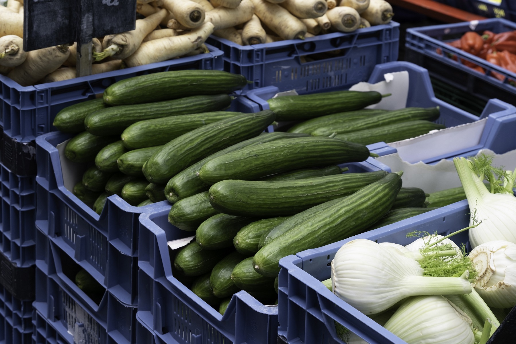 Bac de stockage 59cm x 39,5cm x 11cm bac à fruits et légumes empilable 10kg en vert