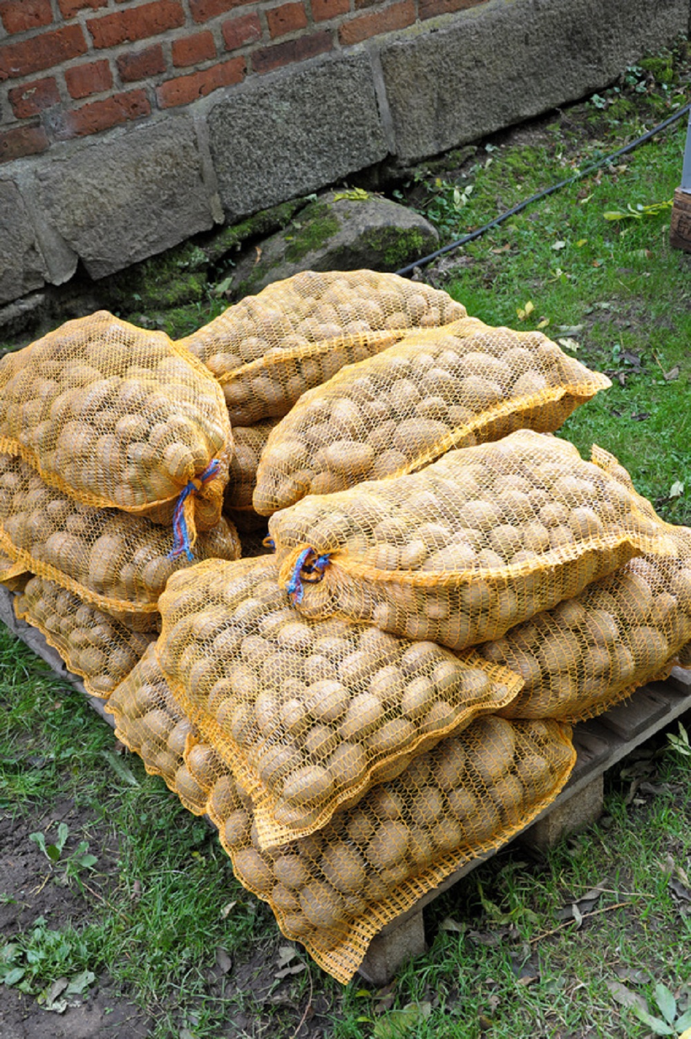 100 sacs Raschel 51cmx80cm sac à légumes